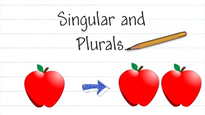 italian-nouns-singular-to-plural-exercise-3-easy-learn-italian